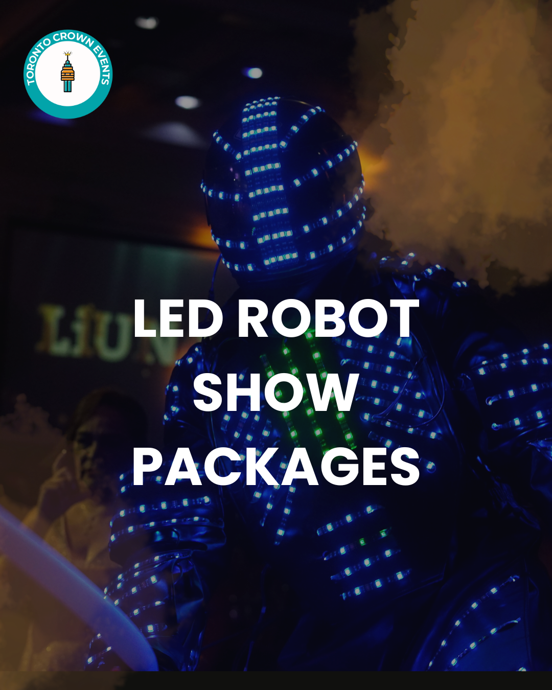 LED ROBOT SHOW