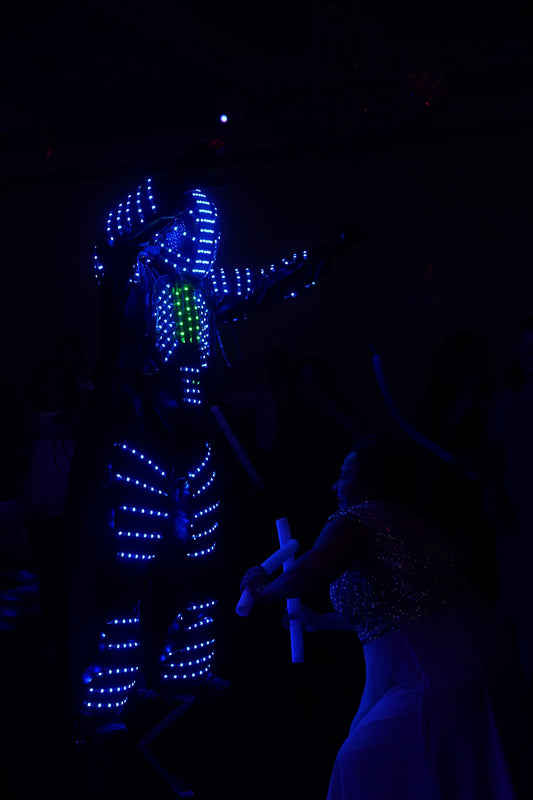 Led Robot Show Package 2